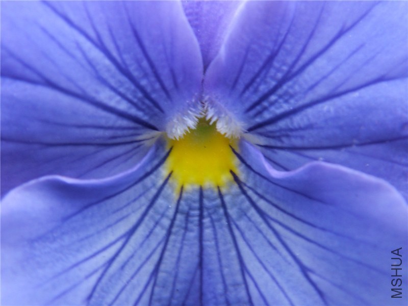 S73F2311.jpg