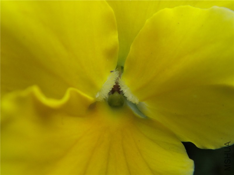 S73F2312.jpg
