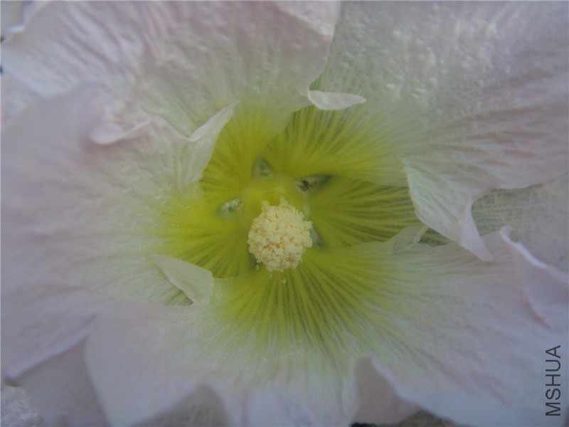 S73F2321.jpg