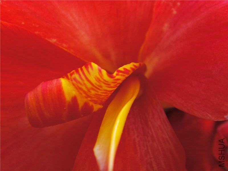 S73F2325.jpg