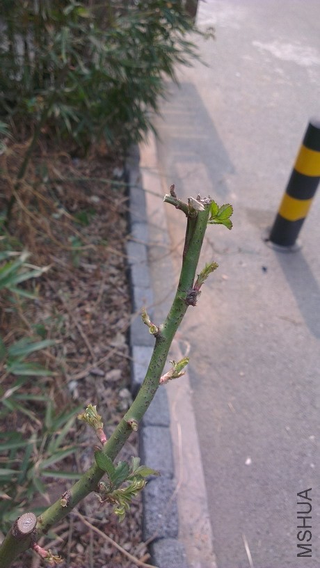 IMAG3817_��С��С.jpg