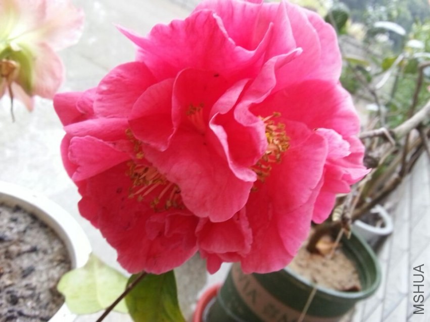 ��2������˹