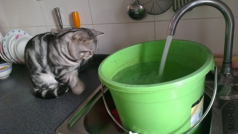 IMAG3820_��С��С.jpg