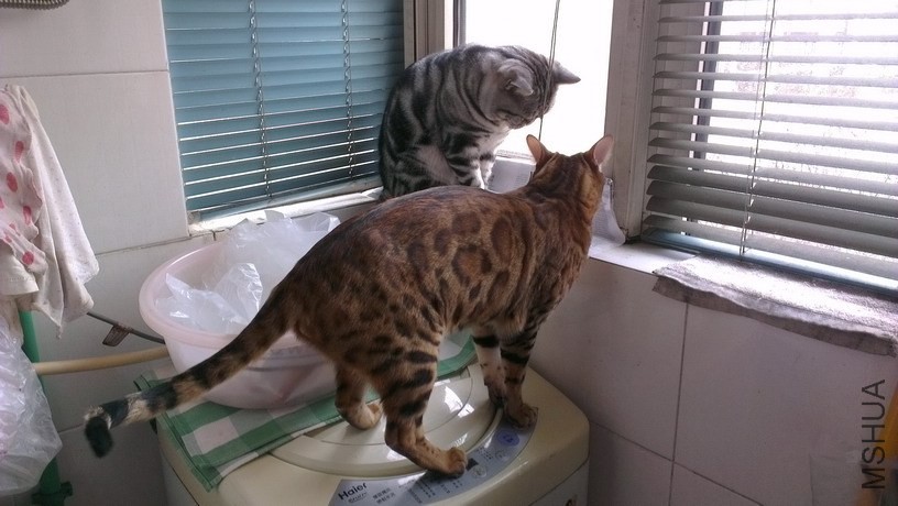 IMAG3821_��С��С.jpg