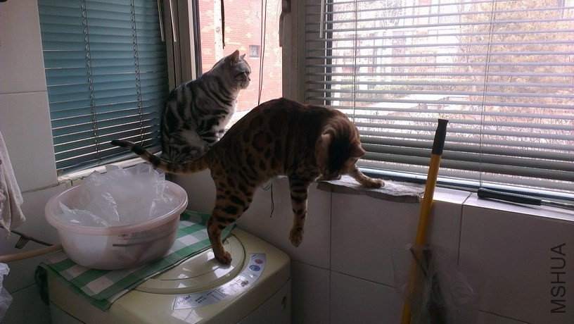 IMAG3828_��С��С.jpg