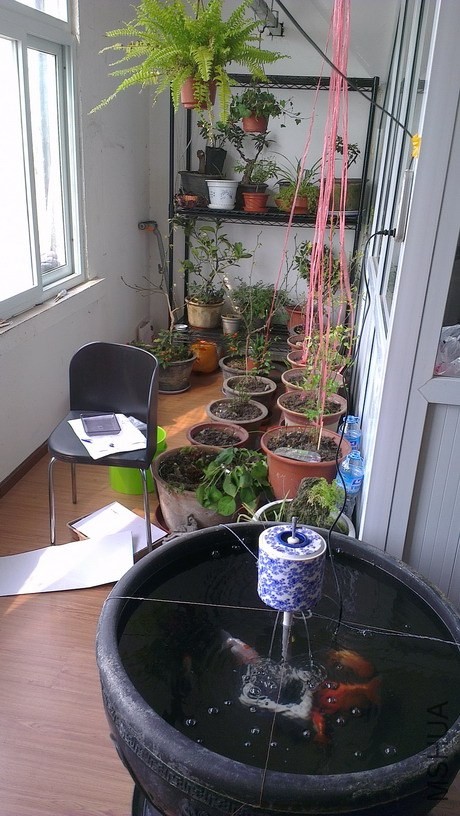 IMAG3845_��С��С.jpg