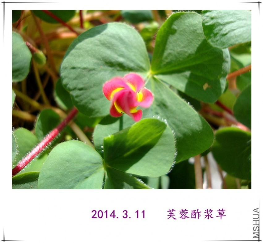 dsc09015_����.jpg