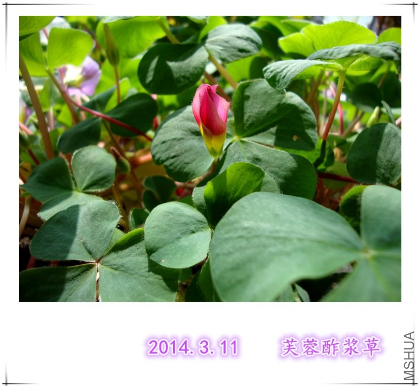 dsc09016_����.jpg