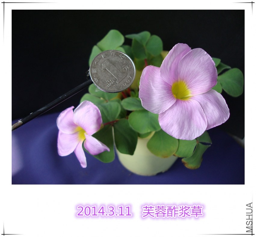 DSC09021_����.jpg