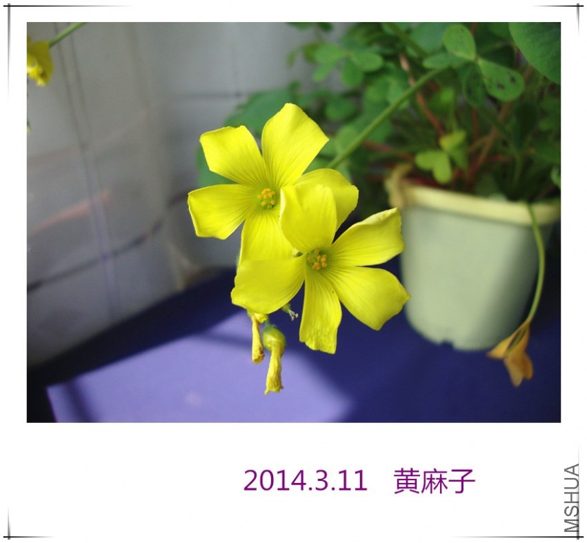 DSC09028_����.jpg