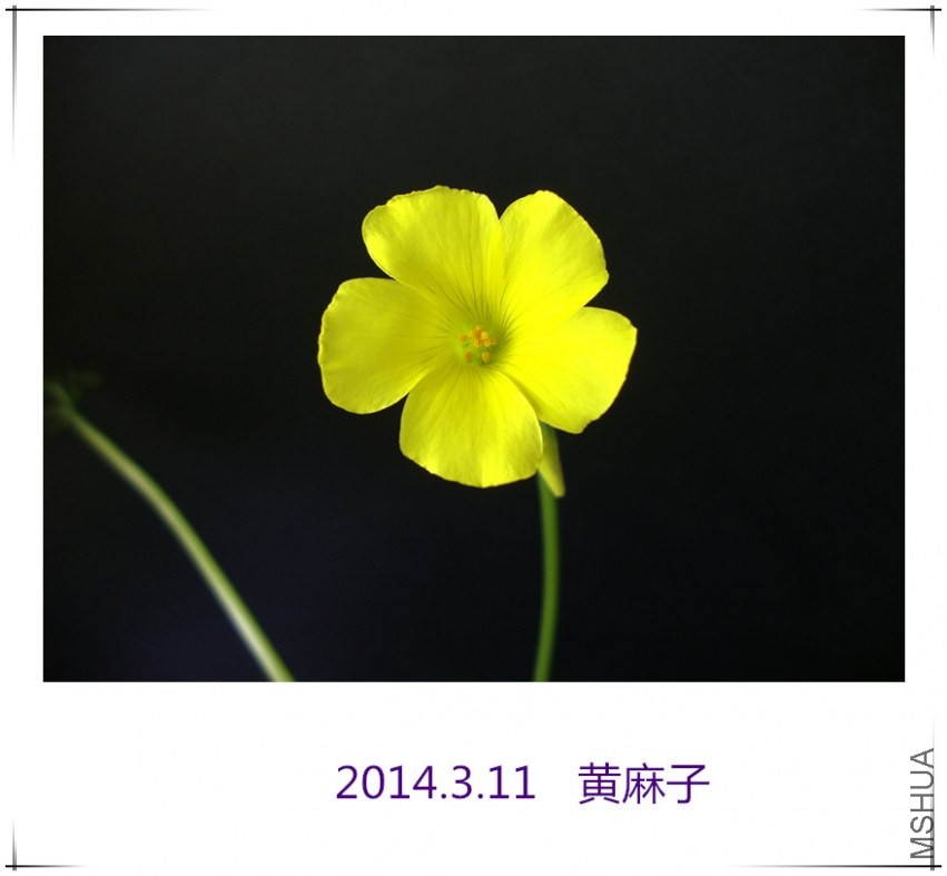 dsc09035_����.jpg