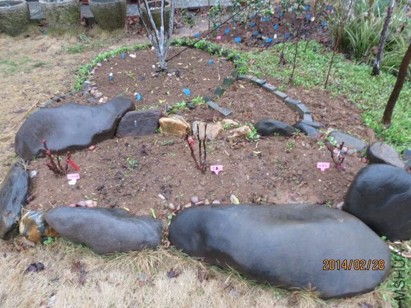 IMG_8294 14-02-28.jpg