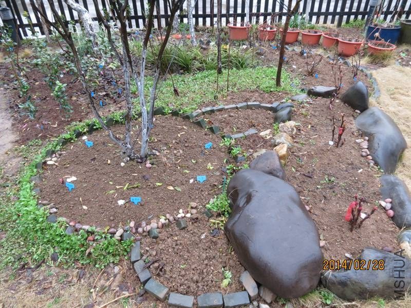 IMG_8297 14-02-28.jpg