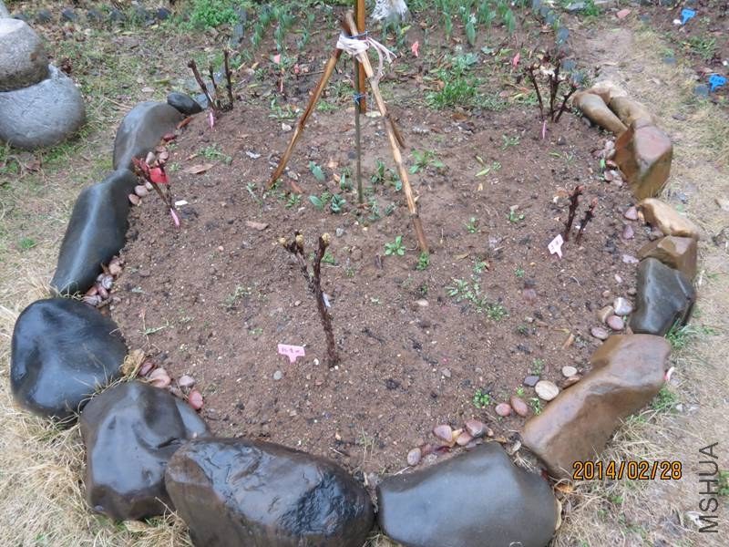 IMG_8299 14-02-28.jpg