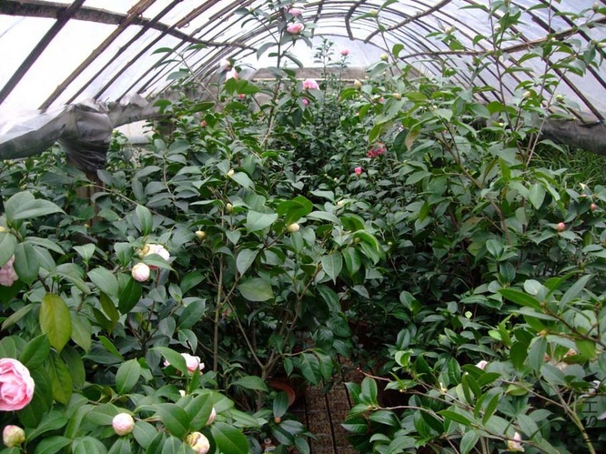 ¶̨���� 2014-3-12 045.jpg