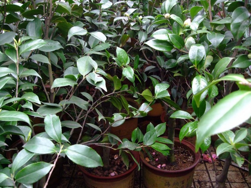 ¶̨���� 2014-3-12 046.jpg