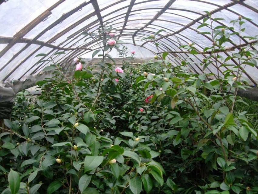 �軨԰ 2014-3-12 010.jpg