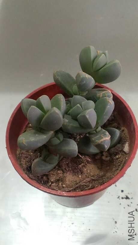 QQͼƬ20140312122443.jpg