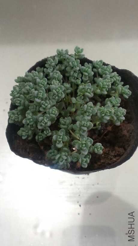 QQͼƬ20140312123750.jpg