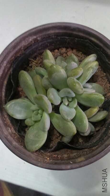 QQͼƬ20140312125212.jpg