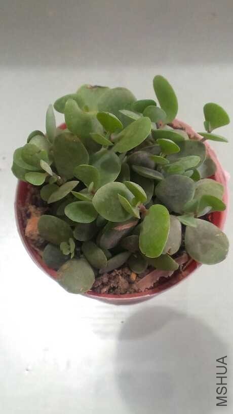QQͼƬ20140312124136.jpg