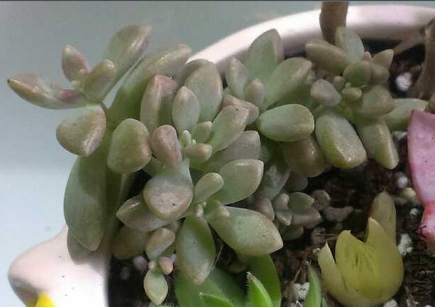QQͼƬ20140312130740.jpg