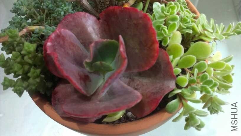 QQͼƬ20140312132527.jpg