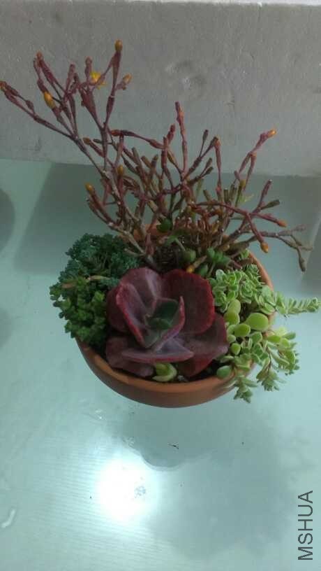 QQͼƬ20140312132539.jpg