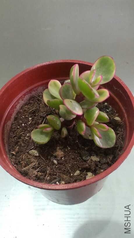 QQͼƬ20140312133245.jpg