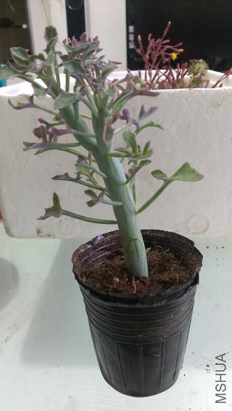 QQͼƬ20140312133438.jpg
