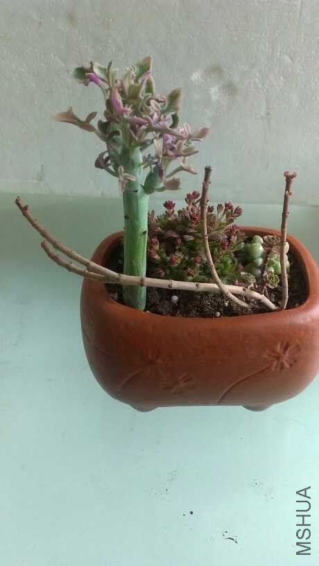 QQͼƬ20140312133450.jpg