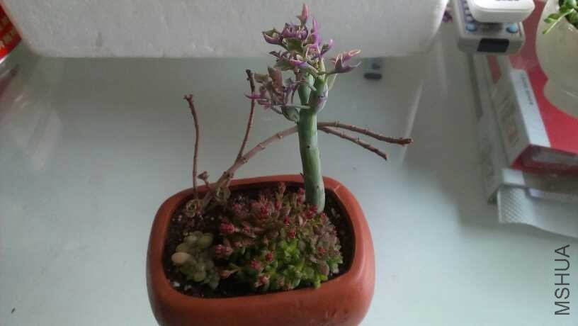 QQͼƬ20140312133741.jpg