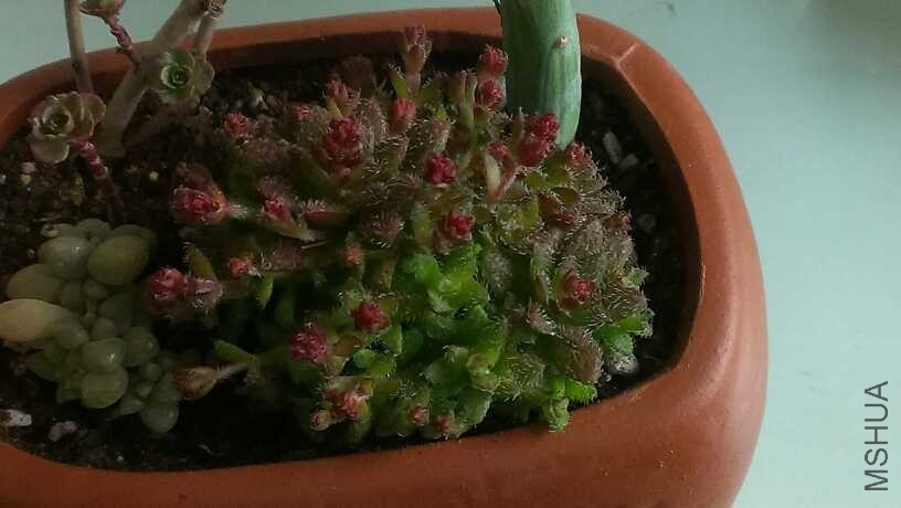 QQͼƬ20140312140839.jpg