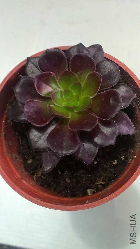 QQͼƬ20140312141436.jpg
