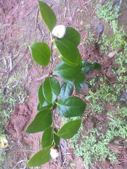 ��Ƭ 007_����_����.jpg