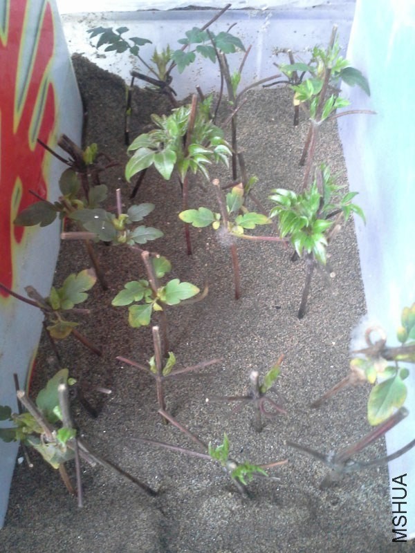 20140226_163531.jpg