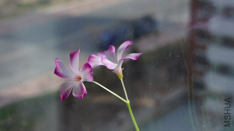 DSC05136.jpg