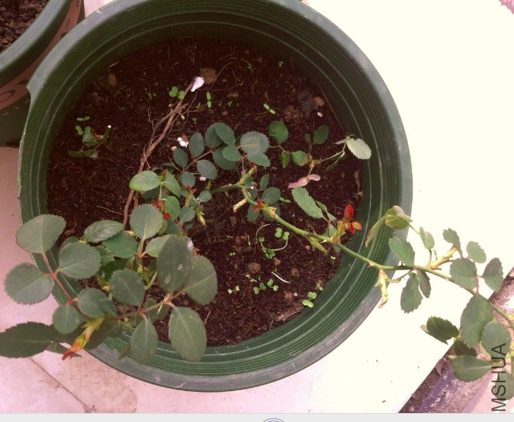 QQ��ͼ20140313092934.jpg