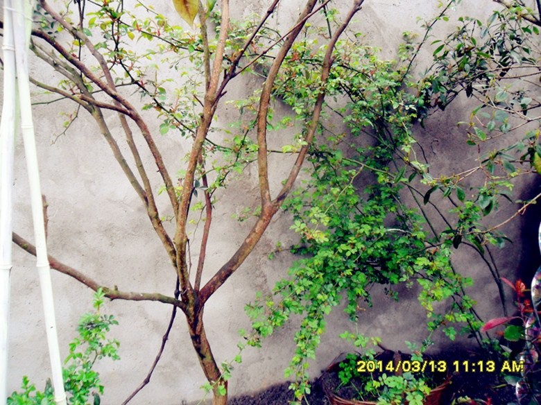04.jpg
