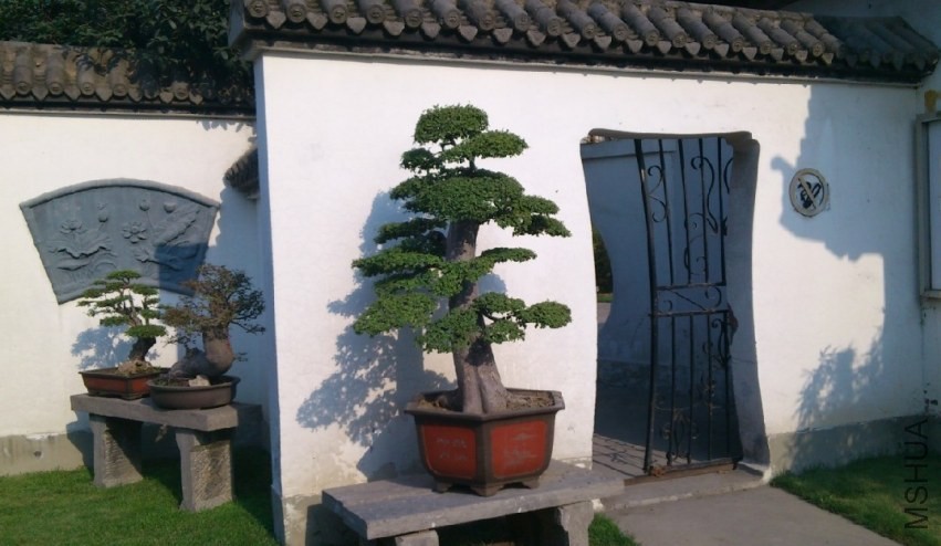 QQͼƬ20140313151119.jpg