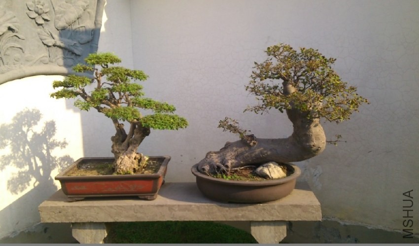 QQͼƬ20140313151151.jpg