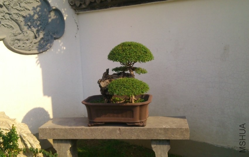 QQͼƬ20140313151228.jpg