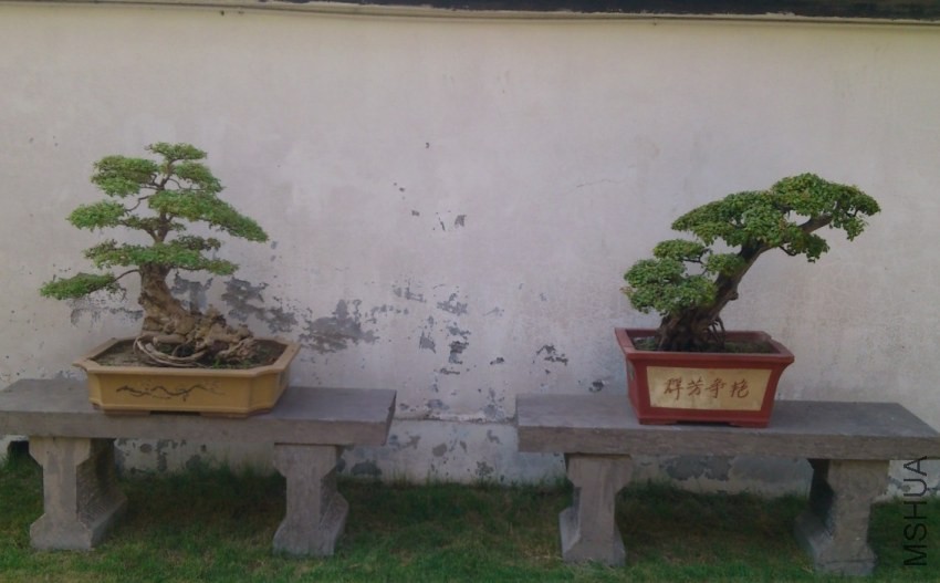 QQͼƬ20140313151245.jpg