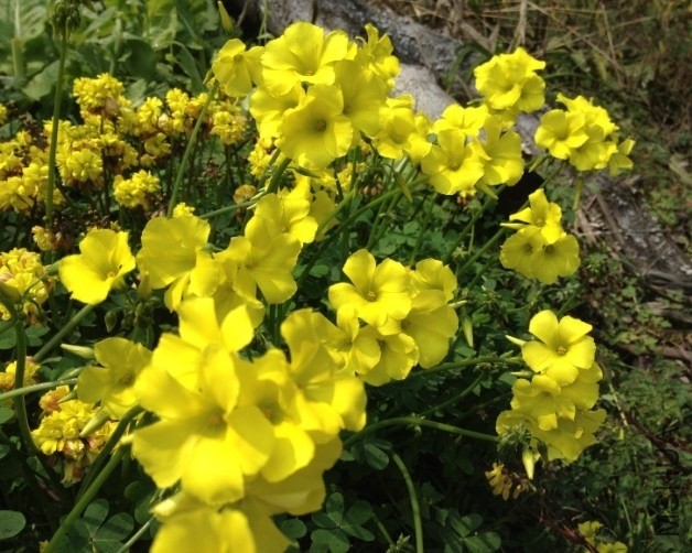 QQͼƬ20140313182919.jpg