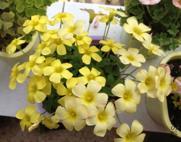 QQͼƬ20140313183139.jpg
