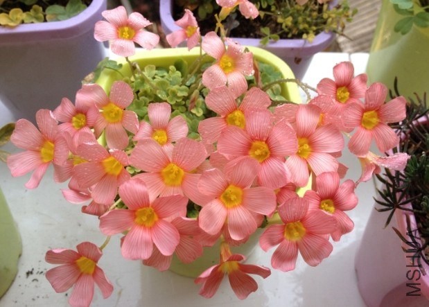QQͼƬ20140313182709.jpg