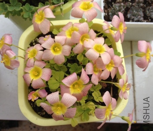 QQͼƬ20140313182717.jpg