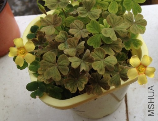 QQͼƬ20140313182728.jpg
