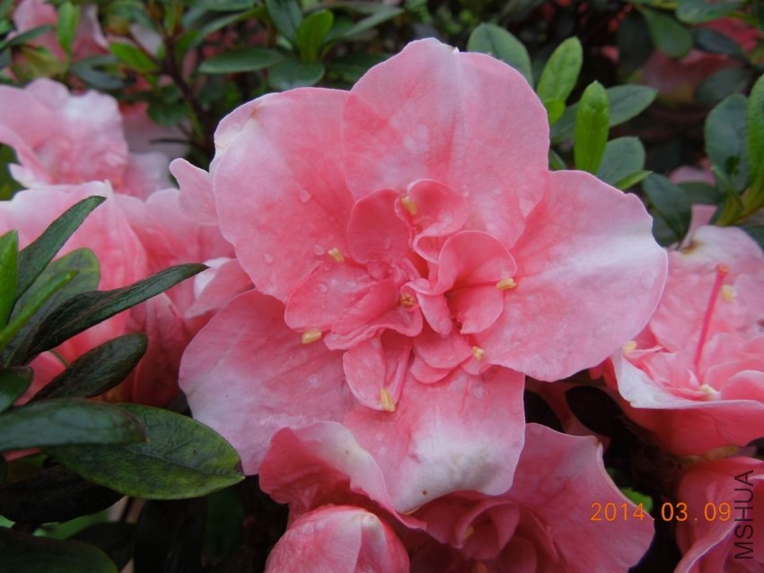 ������С DSCN1133.jpg