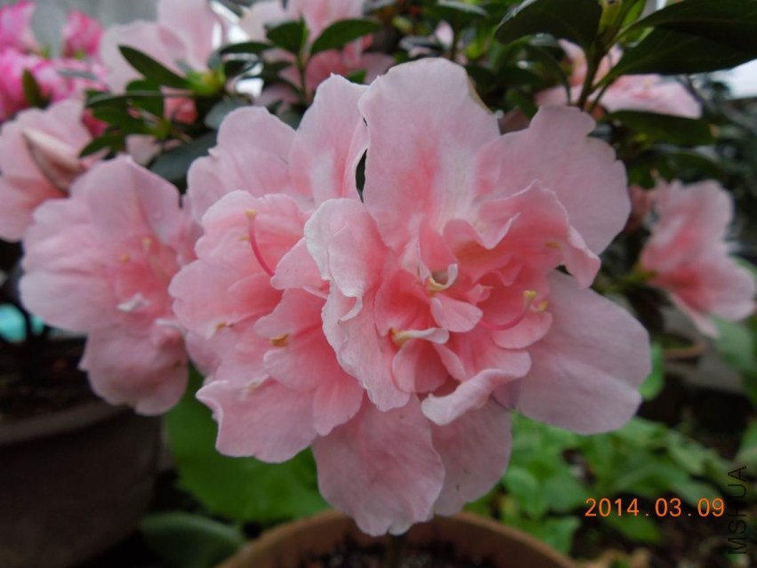 ������С DSCN1128.jpg